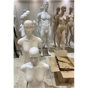 Lot 109

Mannequins - Half Body - With Full Features